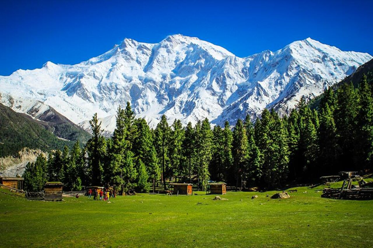 Alpine meadow below Nanga Parbat at Fairy Meadows